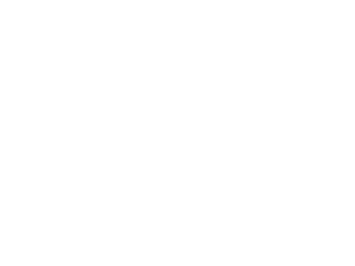 Logo 13